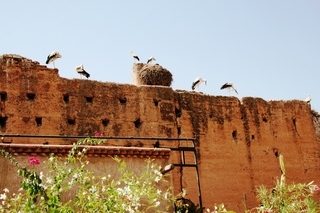 Hotel Riad Carina