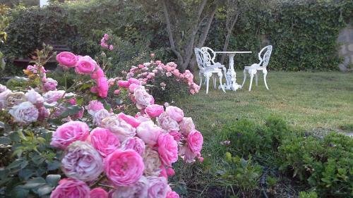 Villa Floral