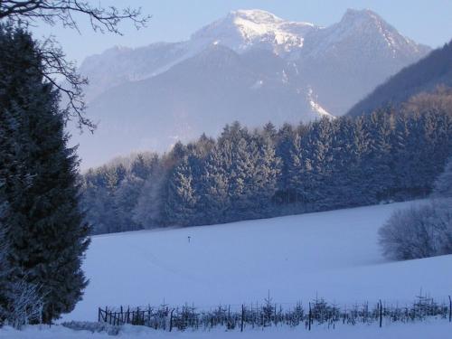 Agroturismo St�cklhof