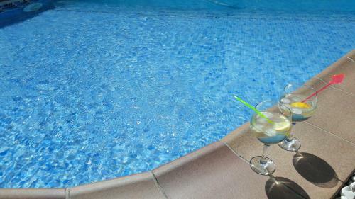 Washingtonia Villa Near Sitges