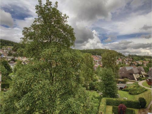 Two-bedroom Apartment In Schonach