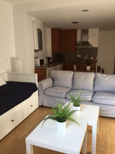 Apartamentos Viejo Continente