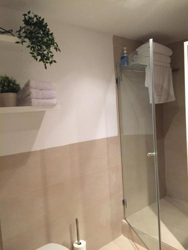 Apartamentos Viejo Continente