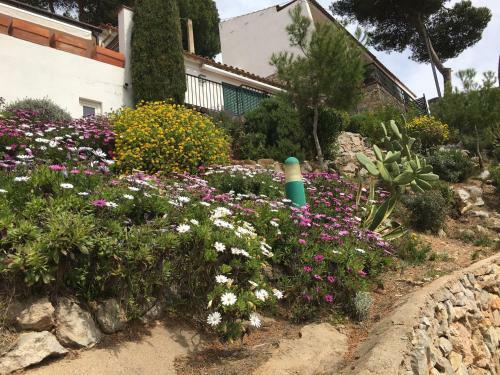Apartamento Islas Medas