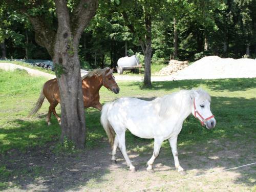 Agroturismo G�stehaus Herbstbauernhof