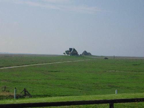 Ferienhaus Wind