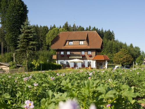Hostal Gasthaus Schweizerhof