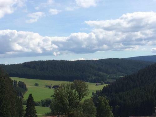 Hotel Schwarzwaldgasthaus Salenhof