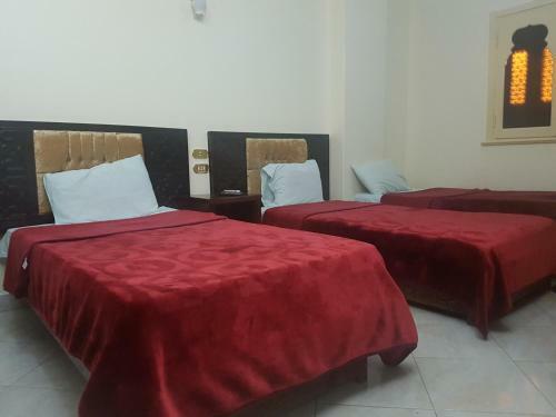 Hostal Arabian Nights Hostel