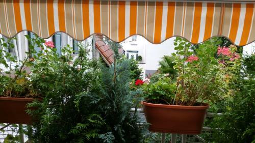 Hotel Landhaus Rebstock Worms
