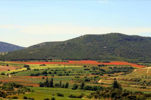 Agroturismo Cal Tat�