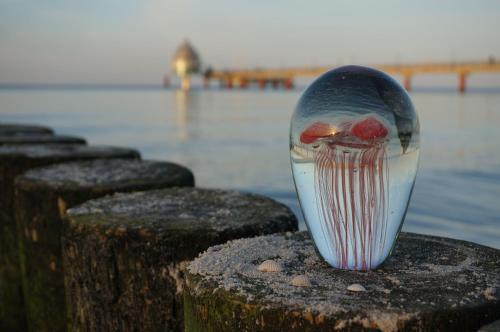 Hostal Hotel Garni Inselparadies Zingst