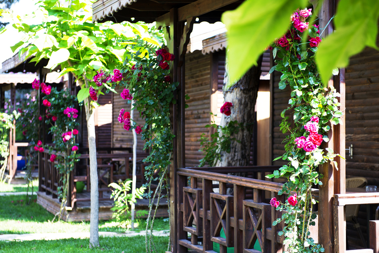 Hotel Flora Garden Beach Club