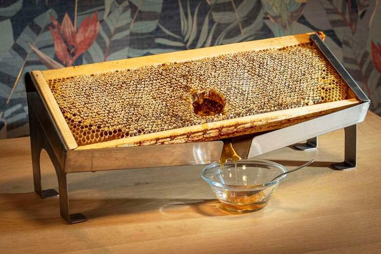 Best Western Plus Hotel De La Regate