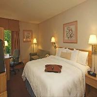 Hotel Hampton Inn Ann Arbor-south