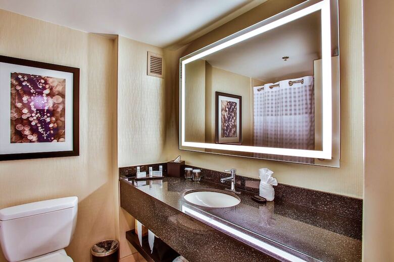 Hotel Embassy Suites By Hilton Chicago Downtown Magnificent Mile