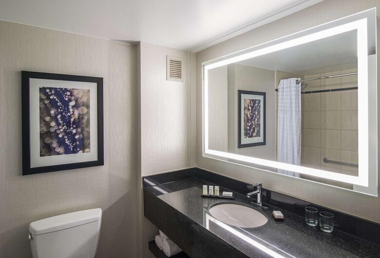 Hotel Embassy Suites By Hilton Chicago Downtown Magnificent Mile