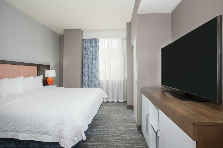 Hotel Hampton Inn & Suites Denver-downtown Co