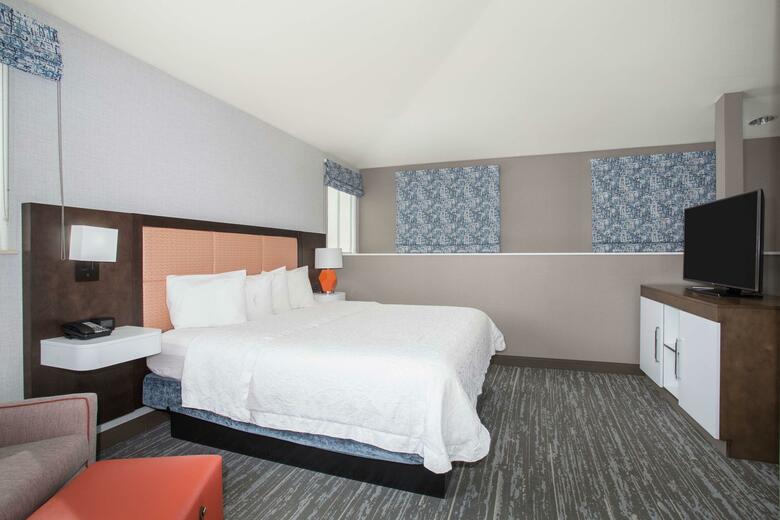 Hotel Hampton Inn & Suites Denver-downtown Co