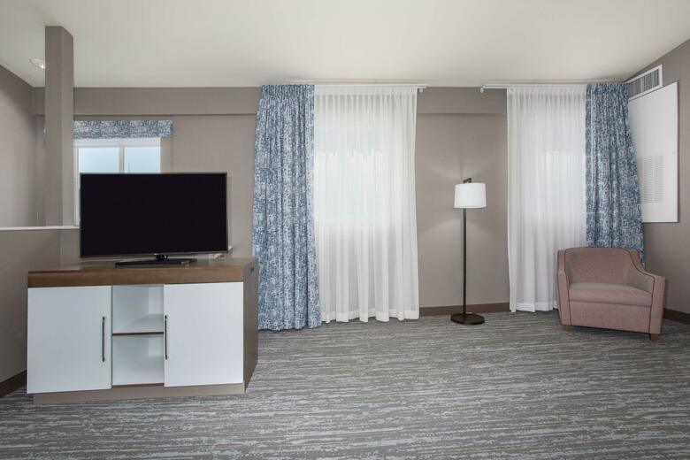 Hotel Hampton Inn & Suites Denver-downtown Co