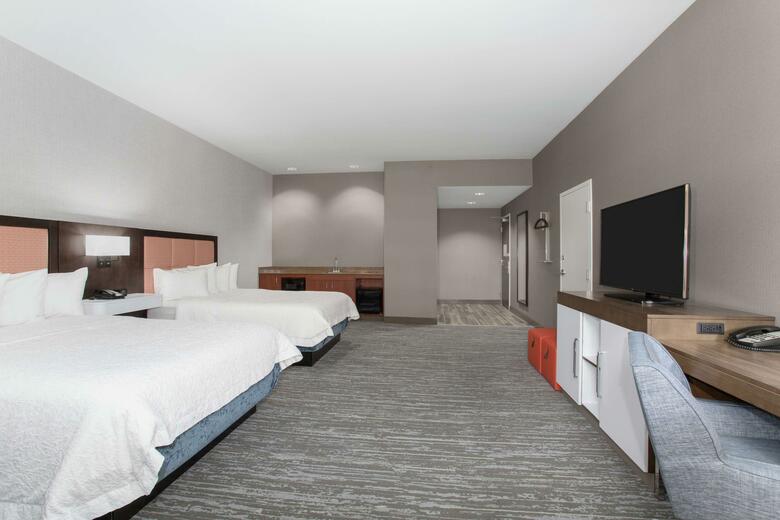 Hotel Hampton Inn & Suites Denver-downtown Co