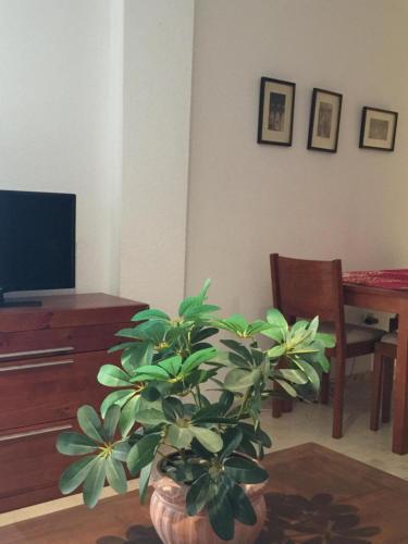 Apartamentos Gondomar Cordoba