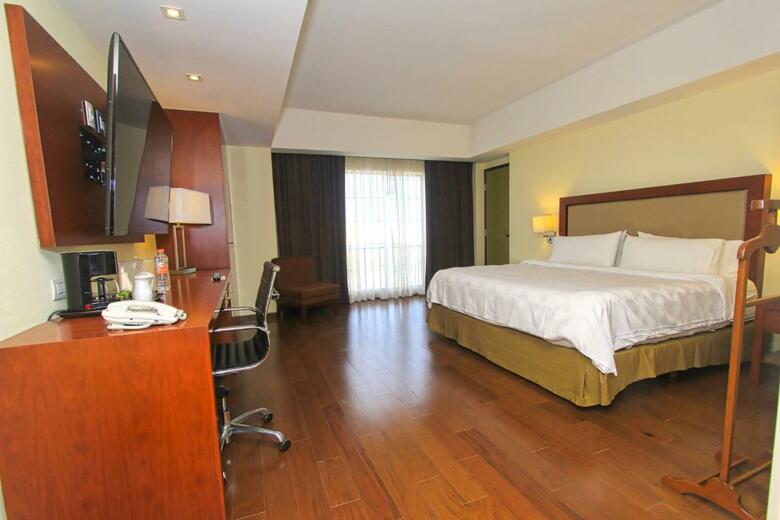 Hotel Holiday Inn Leon