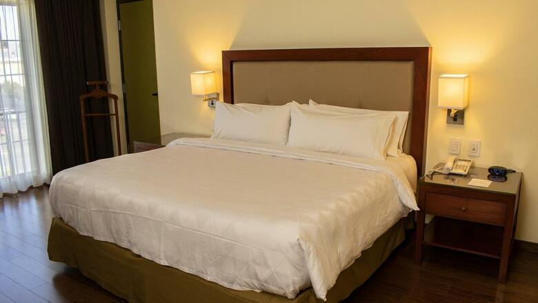 Hotel Holiday Inn Leon