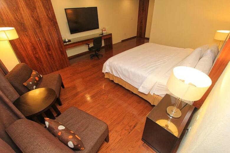 Hotel Holiday Inn Leon