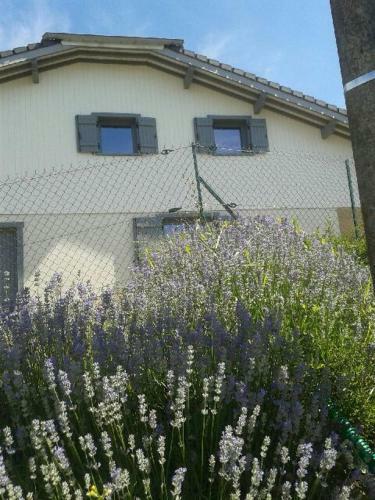 Le Clos Des Mynes