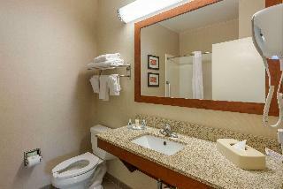 Hotel Comfort Inn Dfw North