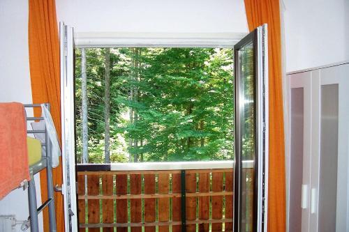 Hostal The Treehouse Backpacker Hotel