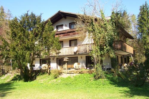 Hostal The Treehouse Backpacker Hotel
