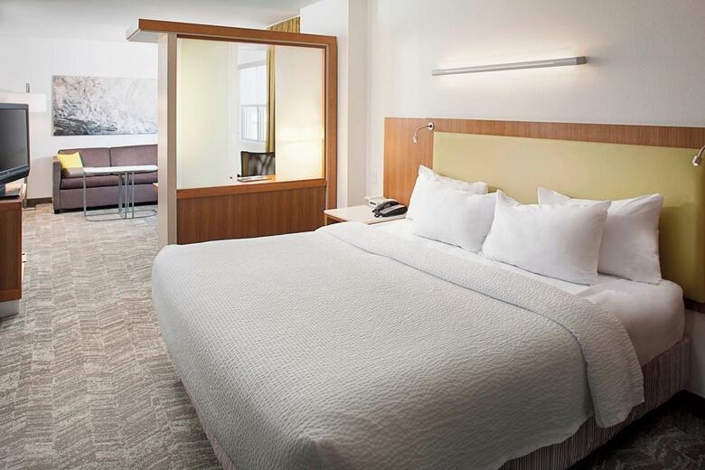 Hotel Springhill Suites By Marriott Savannah