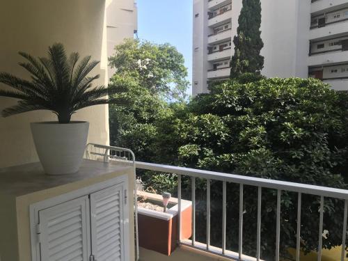 Neptuno Beachfront Apartments