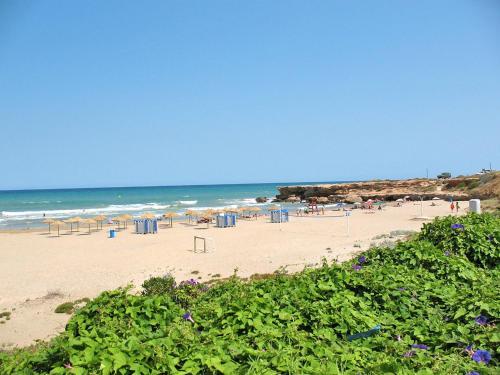 Palm Beach I + II