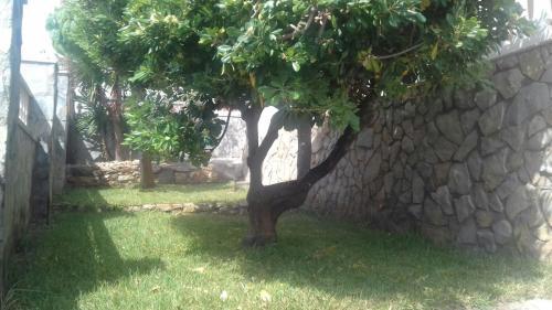 Carabela Sun Holidays 2