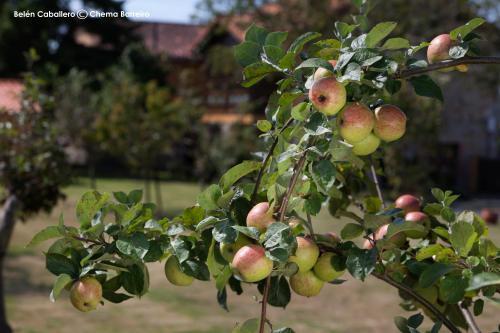 Agroturismo La Casona De Quintes