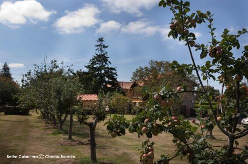 Agroturismo La Casona De Quintes