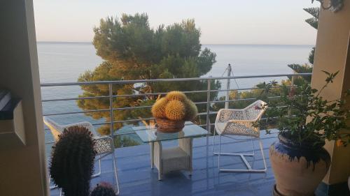 Bed & Breakfast La Estrella Del Mediterr�neo