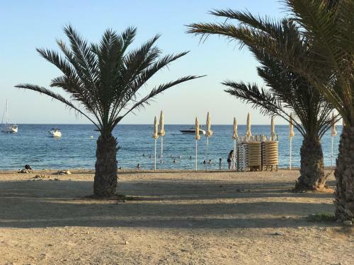 Homely Apartments Blasco Iba�ez