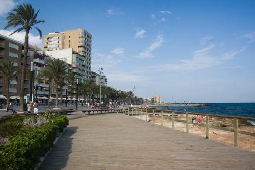 Homely Apartments Blasco Iba�ez
