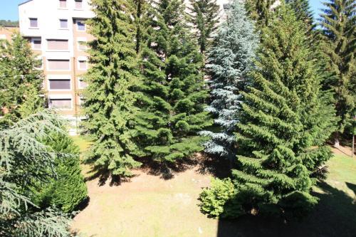 Apartamentos Saumet