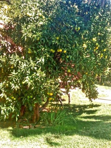 Agroturismo Casa Rural Donatila