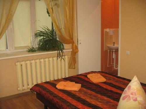 Hostal Central Park Hostel