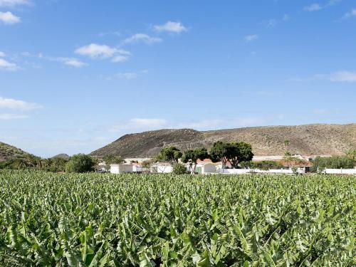 Apartamento Holiday Home Amarilla