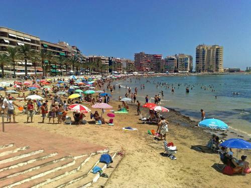 Homely Apartments Playa De Los Locos