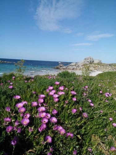 Bed & Breakfast Le Petit Hameau