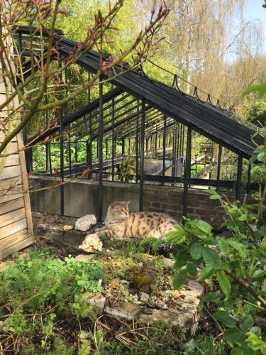 Bed & Breakfast Le Jardin Des Erables