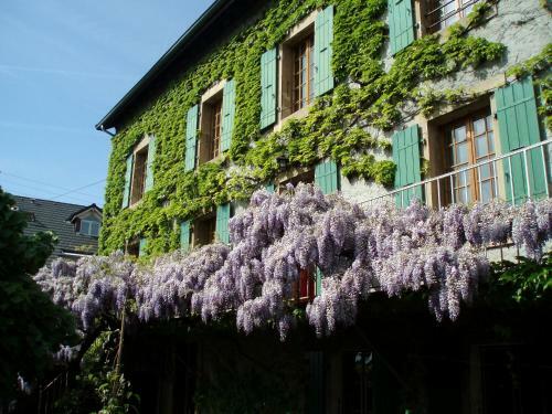 Hostal La Maison De Concise